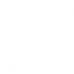 logofooter