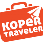 logoweb