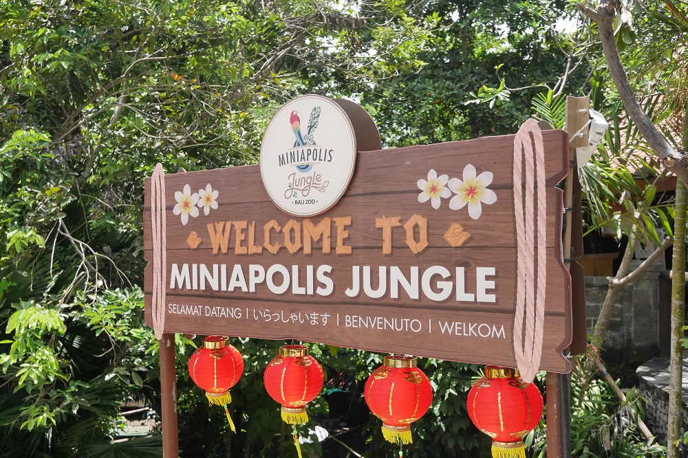 Miniapolis Jungle Waterplay