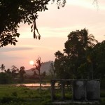 Waikelo Sawah