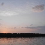 Pulau Kalong