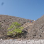 Pulau Padar