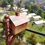 Trizara Resorts