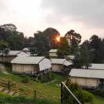 Trizara Resorts