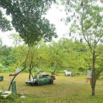 Harris Resort Waterfront Batam