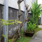 Khayangan Dreams Villa Seminyak