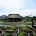 The Wujil Resort & Conventions