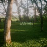 Artwork Lantai 3