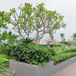 Holiday Inn Express Singapore Clarke Quay
