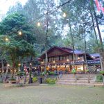 Taman