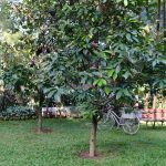 HOUSE Sangkuriang Bandung