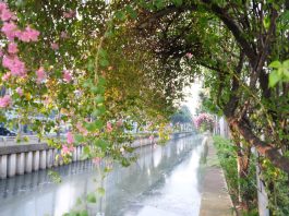 Swiss-belexpress Cideng